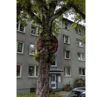 Kapitalanlage oder Eigennutzung – 3ZKB direkt an der Uni Kassel