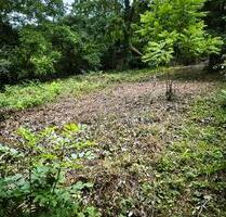 Gartengrundstück in Heidelberg Handschuhsheim