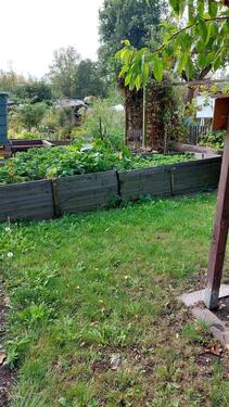 Foto - Grundstück in Chemnitz zur Miete