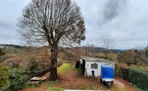 Foto - 5 Zimmer Einfamilienhaus in Steinen