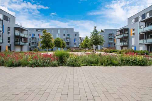 Foto - Familienwohnung in der Johannesvorstadt!
