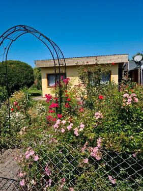 Foto - Pachtgarten - 200,00&nbsp;EUR Kaltmiete, ca.&nbsp; 0,00&nbsp;m&sup2;