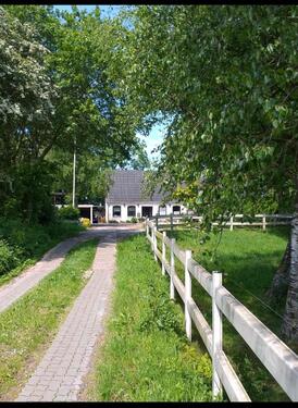Foto - Einfamilienhaus in Sackgassenendlage zu vermieten
