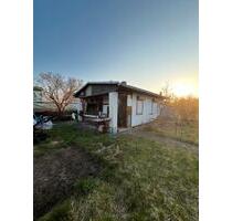 Garten Grundstück Pachtgarten - 75,00&nbsp;EUR Kaltmiete, ca.&nbsp; 0,00&nbsp;m&sup2; in Osternienburger Land (PLZ: 06386)