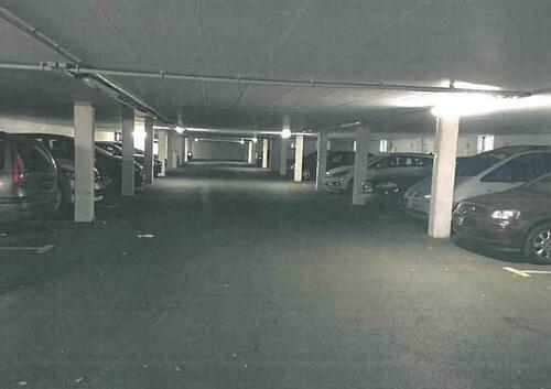 Foto - andere in Dresden