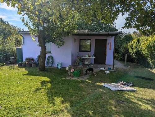 Foto - Grundst&uuml;ck in Barby zur Miete