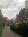 Foto - 3 Zimmer Wohnung, Schwalbach a.T.