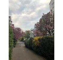 3 Zimmer Wohnung, Schwalbach a.T. - Kriftel