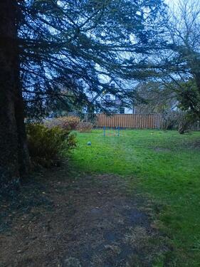 Foto - 3 Zimmer Etagenwohnung in Seelze