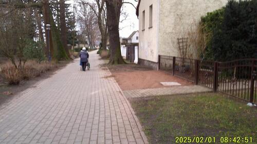Foto - Einfamilienhaus in Altdöbern zur Miete