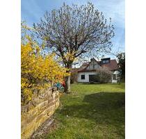 ZweifamilienhausMehrgenerationenhaus Ortsrandlage Ehlen - Habichtswald