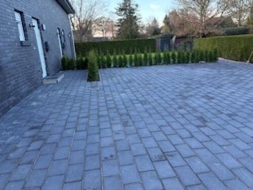 Foto - 5 Zimmer Einfamilienhaus zur Miete in Edewecht