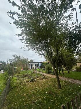 Foto - Grundst&uuml;ck zur Miete in Leipzig