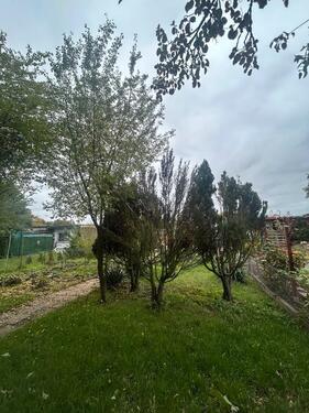 Foto - Grundst&uuml;ck in Leipzig