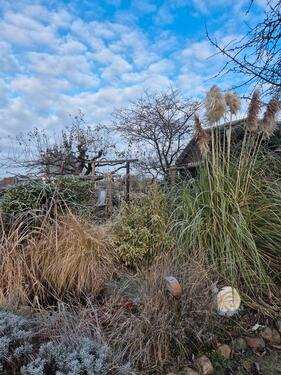 Foto - Grundst&uuml;ck in Leipzig