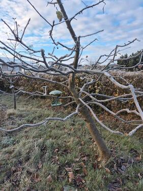 Foto - Grundst&uuml;ck in Leipzig zur Miete