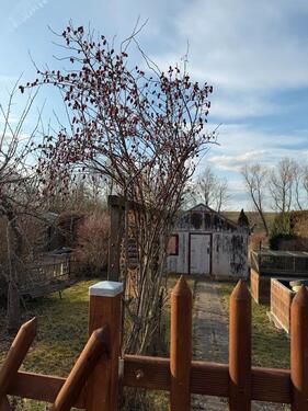 Foto - Grundst&uuml;ck zur Miete in Erfurt