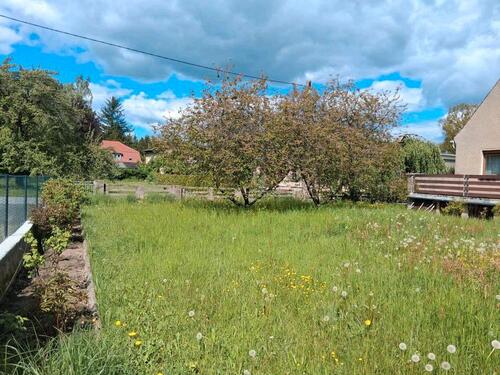 Foto - 5 Zimmer Einfamilienhaus in Großschönau
