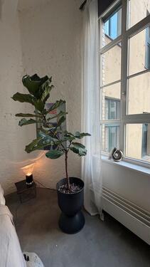 Foto - andere in Berlin