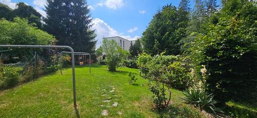 Foto - 3 Zimmer Erdgeschoßwohnung zur Miete in Chemnitz