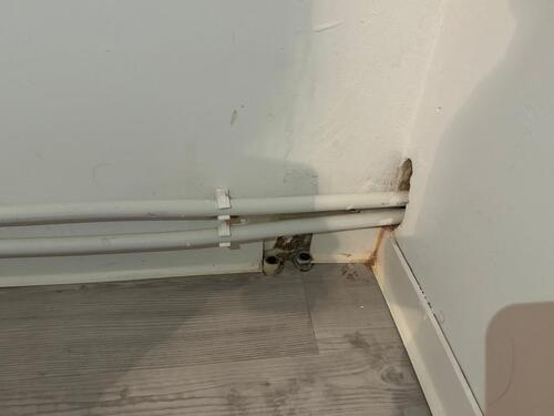 Foto - 6 Zimmer Einfamilienhaus in Langenhagen