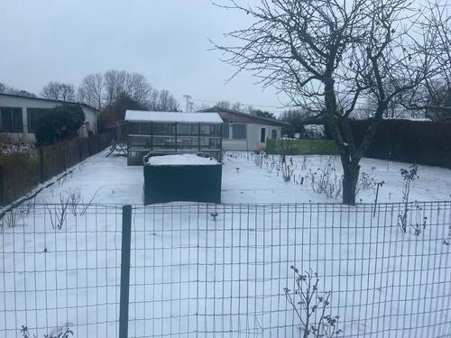 Foto - 2 Zimmer Bungalow in Rostock