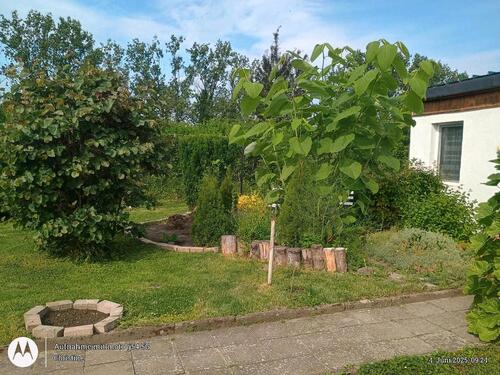Foto - Grundst&uuml;ck zur Miete in Staßfurt