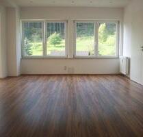 Attraktive 3 Zimmer Wohnung in Ziegelhausen - Heidelberg Peterstal