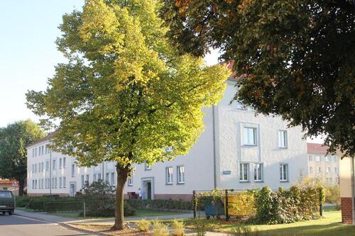 Foto - Helle 3-Zimmer-Wohnung im Lausitzer Seenland