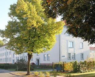Helle 3-Zimmer-Wohnung im Lausitzer Seenland - Altdöbern