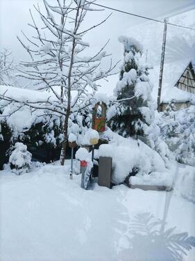 Foto - 4 Zimmer Einfamilienhaus zum Kaufen in Holzheim