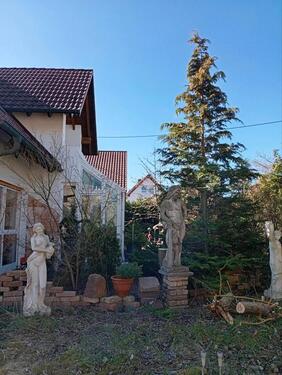 Foto - Einfamilienhaus in Holzheim zum Kaufen