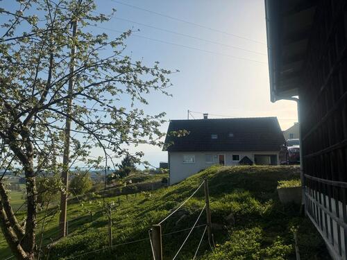 Foto - Einfamilienhaus in Grünkraut zum Kaufen