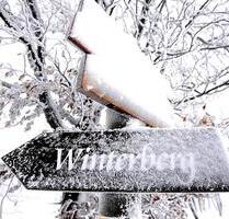 Ferienwohnung in Winterberg Stadt