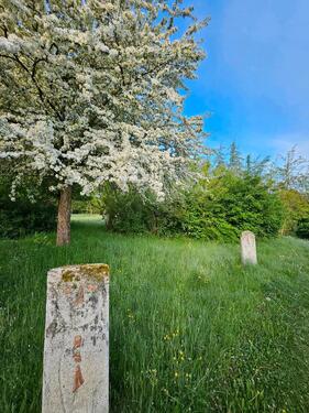 Foto - andere in Frontenhausen