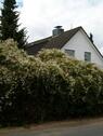 Foto - Erdgeschoss mit Gartenblick in den Naherholungsgebieten