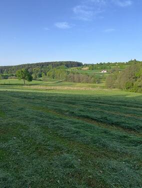 Foto - Wiesenfläche in Saulburg zu verpachten – 17,3 ha