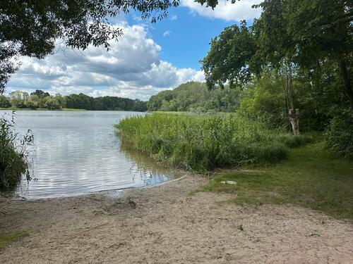 Foto - 2 Zimmer Dachgeschoßwohnung zur Miete in Grabowhöfe