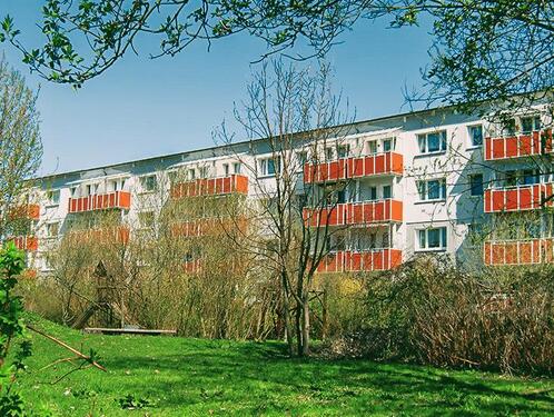 Foto - Mit Blick auf den Igelpfuhl - 415,00 EUR Kaltmiete,