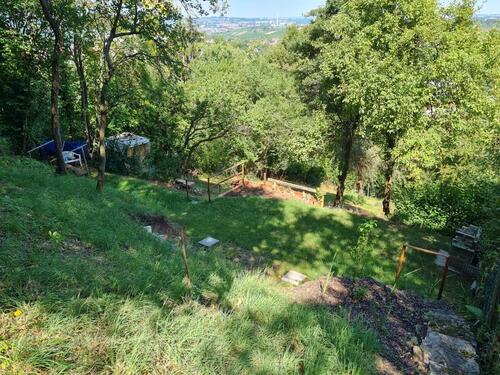 Foto - Gartengrundstück Rotenberg (Stgt-Untertürkheim) zu verpachten