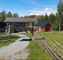 Ferienhaus Busterud in Dalsland - zu vermieten - Berlin Treptow-Köpenick