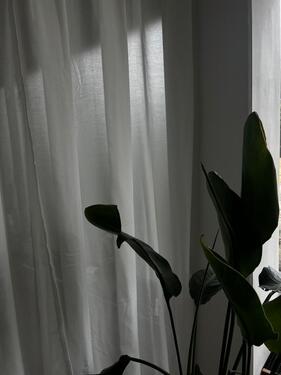 Foto - andere in Schwäbisch Hall