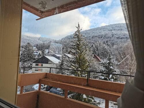 Foto - 2-Raum-Wohnung in Bad Harzburg zu vermieten mit Bergblick
