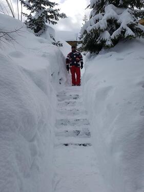 Foto - Schneesichere FeWo auf 1700m im Skigebiet Zillertal, 3 SZ, Sauna,