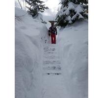 Schneesichere FeWo auf 1700m im Skigebiet Zillertal, 3 SZ, Sauna, - Puchheim