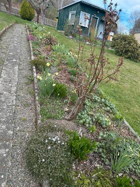 Foto - Grundst&uuml;ck zur Miete in Zeulenroda-Triebes