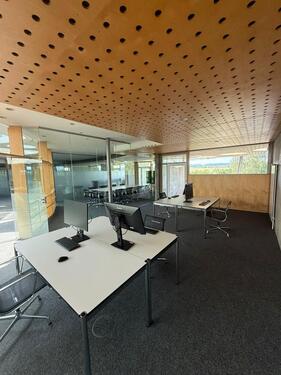 Foto - andere zur Miete in Pliezhausen