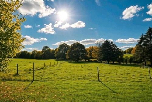 Foto - Helle Räume, grüne Umgebung - 4 Zimmer Wohnung in ländlicher Lage