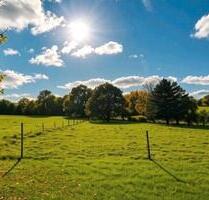 Helle Räume, grüne Umgebung - 4 Zimmer Wohnung in ländlicher Lage - Bad Salzuflen Ehrsen-Breden