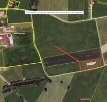 Landwirtschaftliche Fläche Grünfläche Grünland Wiese 1 Ha - Reichling